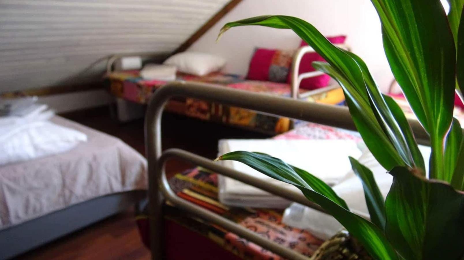 Lago da Garça Guesthouse São Pedro do Sul Extérieur photo
